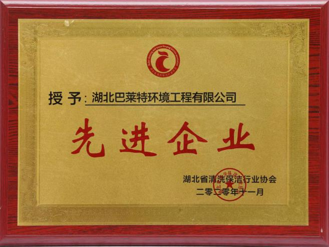 湖北省清洗保潔行業(yè)協(xié)會先進企業(yè).png